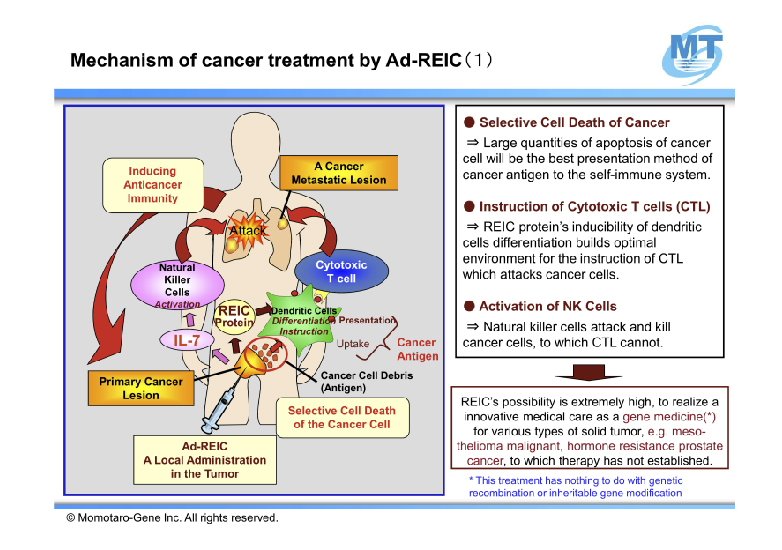 Mechanism of cancer treatment by Ad-REIC 1